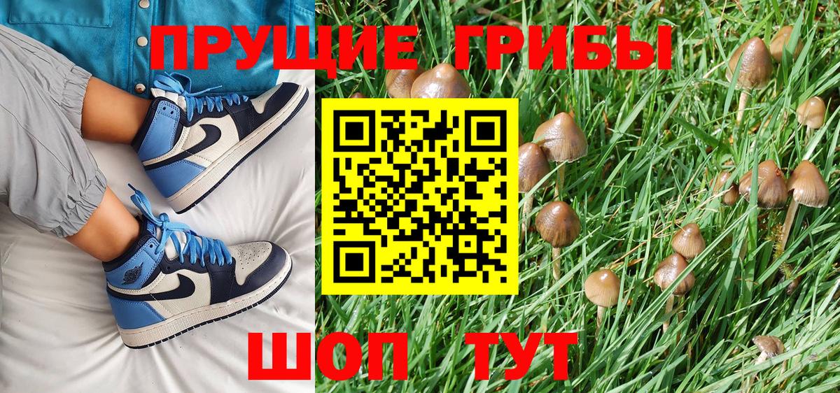 Псилоцибиновые грибы Cubensis  Новотроицк  Галлюциногенные грибы мицелий 