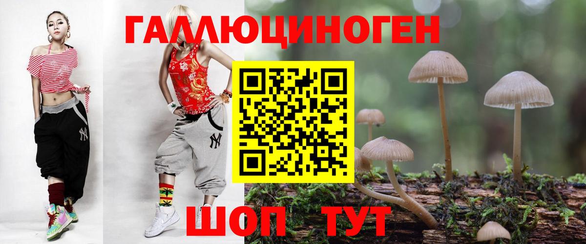 Галлюциногенные грибы Magic Shrooms Новотроицк