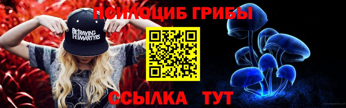 Новотроицк  Псилоцибиновые грибы ЛСД  Вход с VPN 